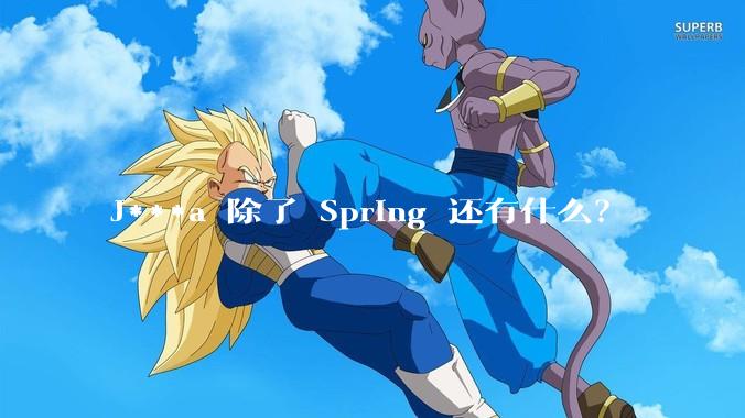 J***a 除了 Spring 还有什么?