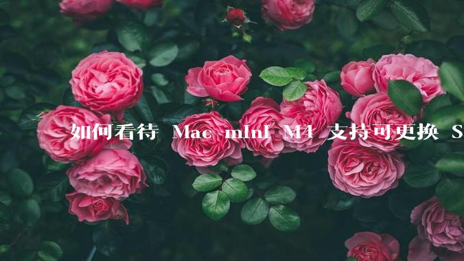 如何看待 Mac mini M4 支持可更换 SSD?