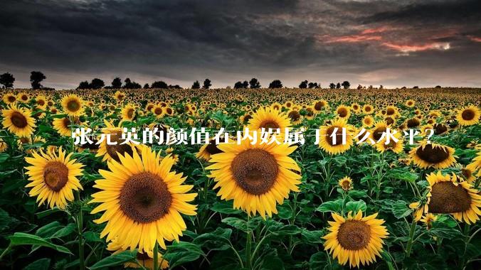张元英的颜值在内娱属于什么水平?