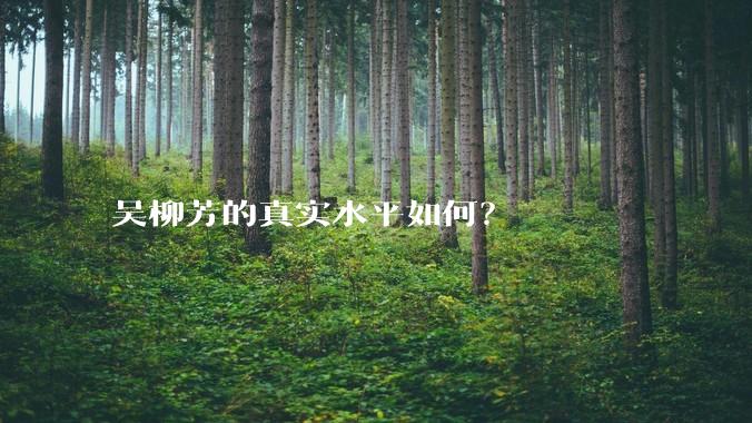 吴柳芳的真实水平如何?