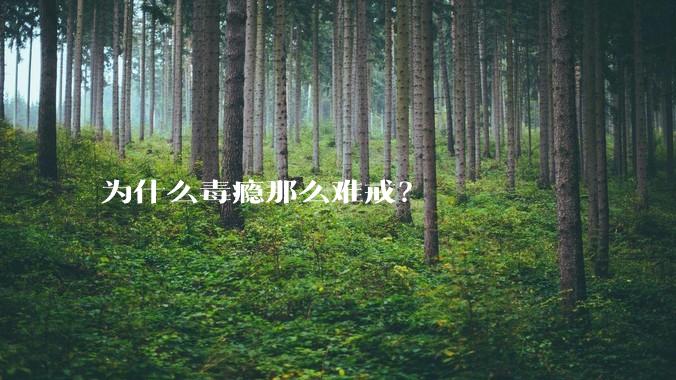 为什么毒瘾那么难戒?