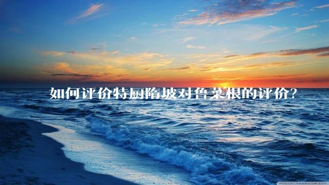 如何评价特厨隋坡对鲁菜根的评价?