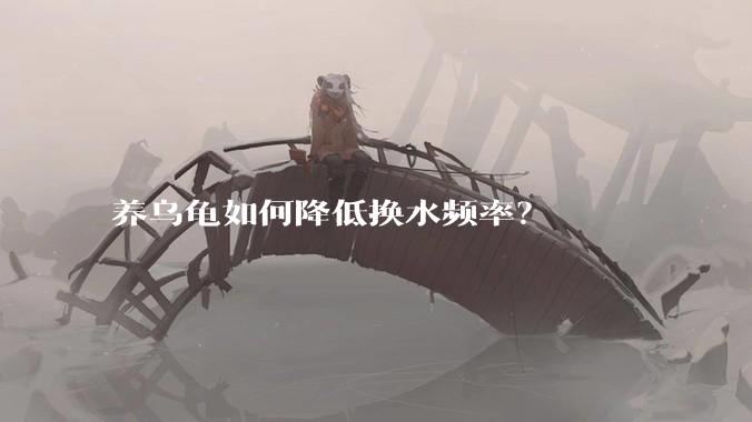 养乌龟如何降低换水频率?