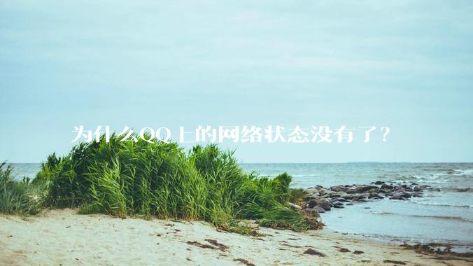 为什么QQ上的网络状态没有了?