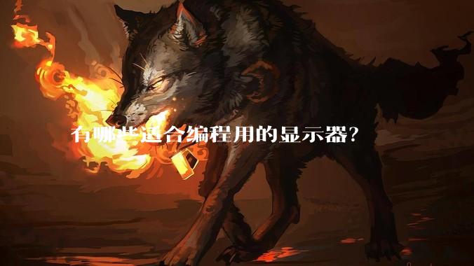 有哪些适合编程用的显示器?