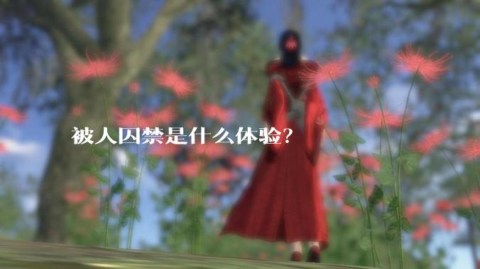 被人囚禁是什么体验?