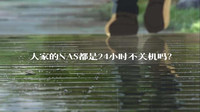 大家的NAS都是24小时不关机吗?