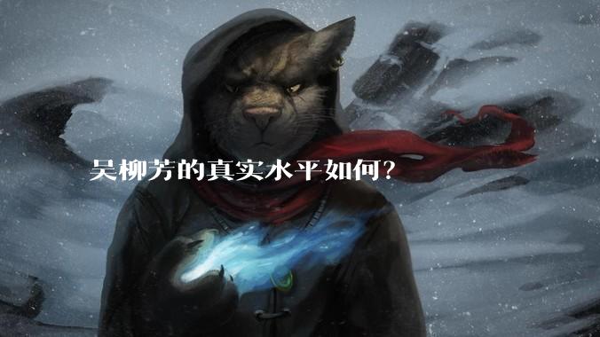 吴柳芳的真实水平如何?