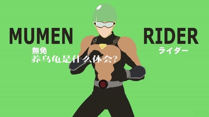 养乌龟是什么体会?