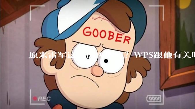 原来雷军这么厉害的吗?WPS跟他有关吗?