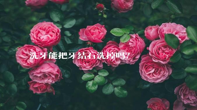 洗牙能把牙结石洗掉吗?