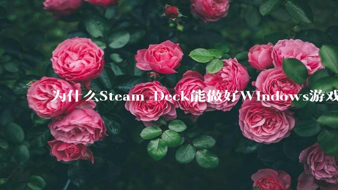 为什么Steam Deck能做好Windows游戏转译但是Apple Mac就做不好?