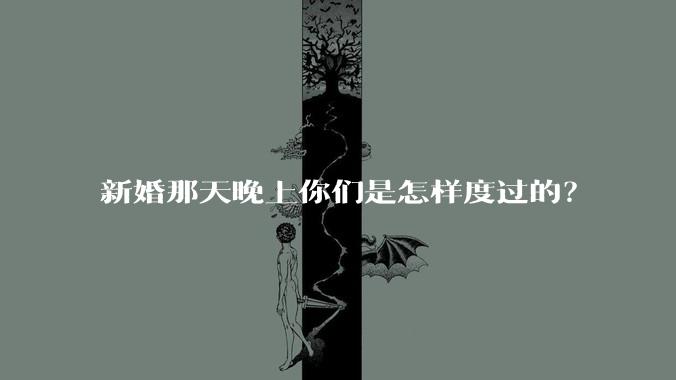 新婚那天晚上你们是怎样度过的?
